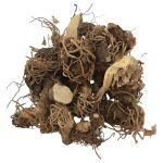 Beth Root, Whole, 0.5 lbs